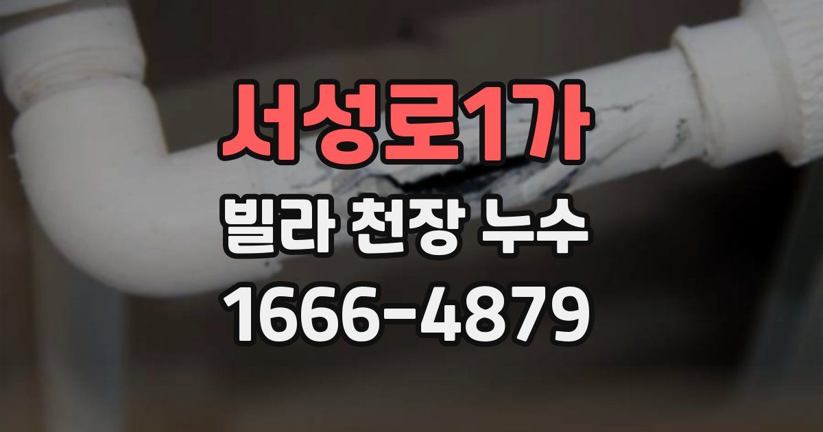 서성로1가 빌라 천장 누수