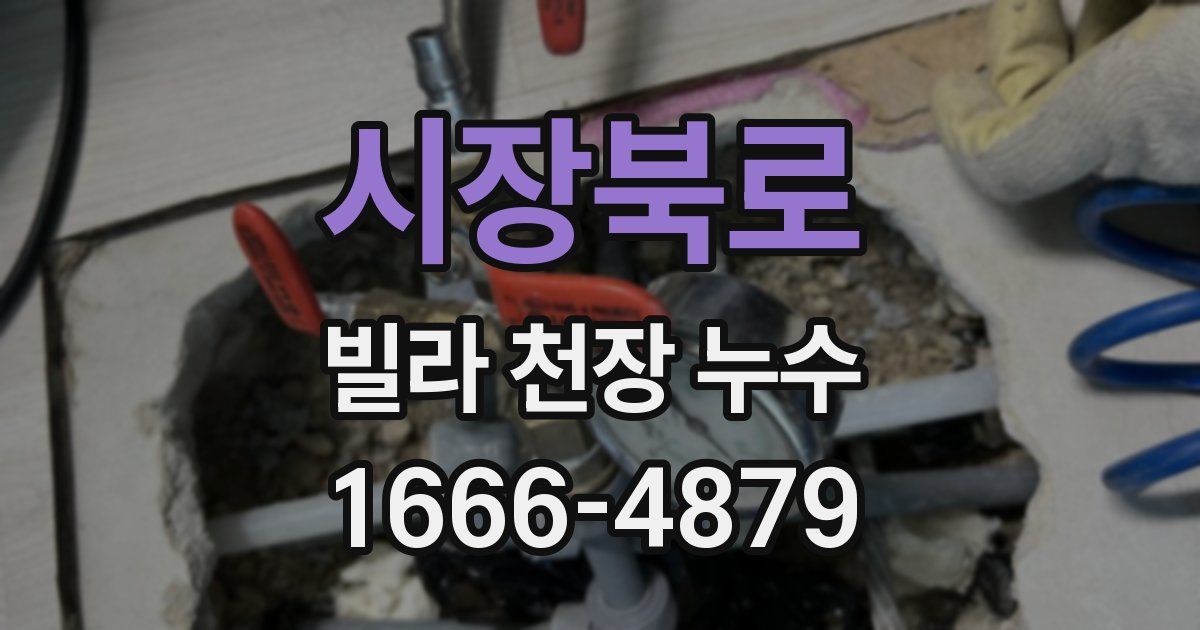 시장북로 빌라 천장 누수