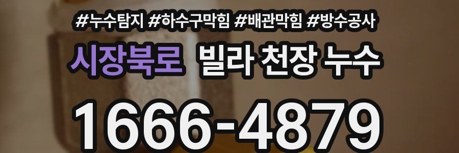 시장북로 빌라 천장 누수