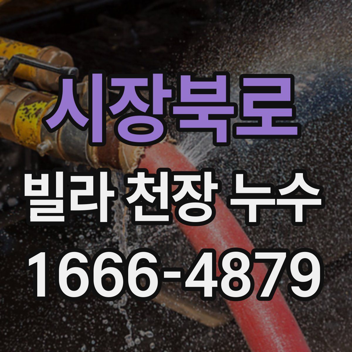 시장북로 빌라 천장 누수