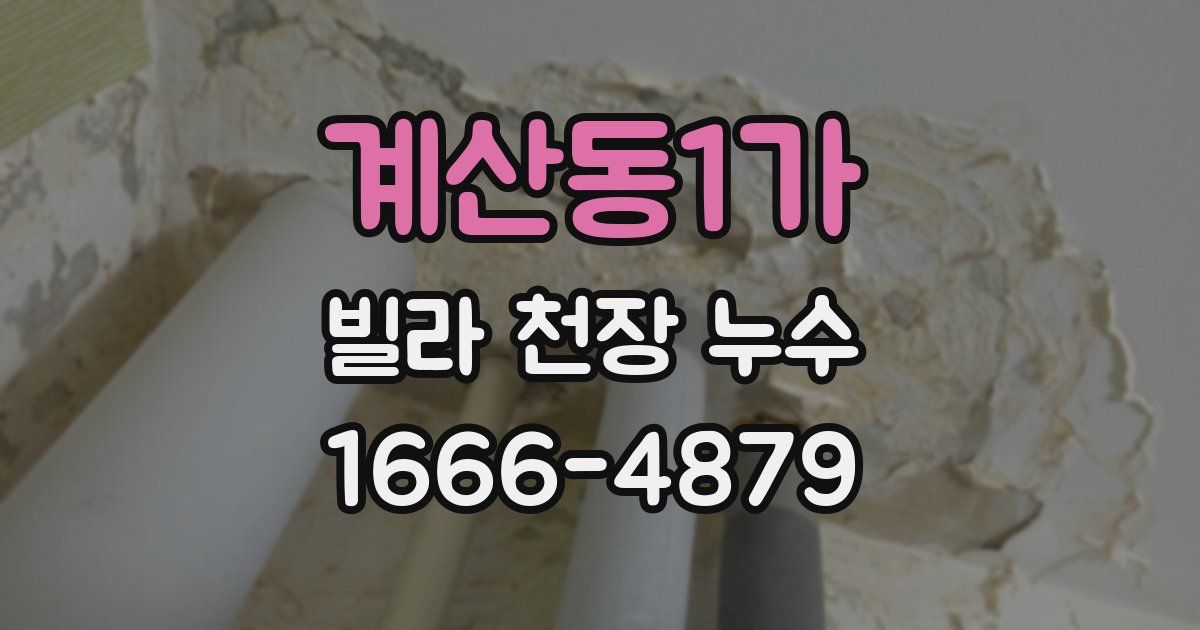 계산동1가 빌라 천장 누수