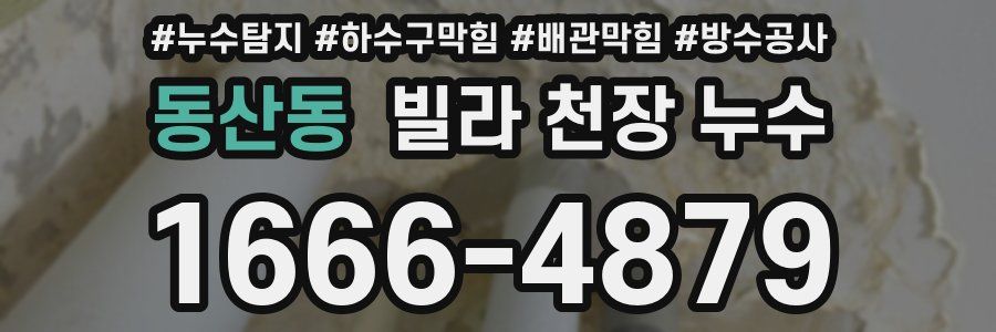 동산동 빌라 천장 누수