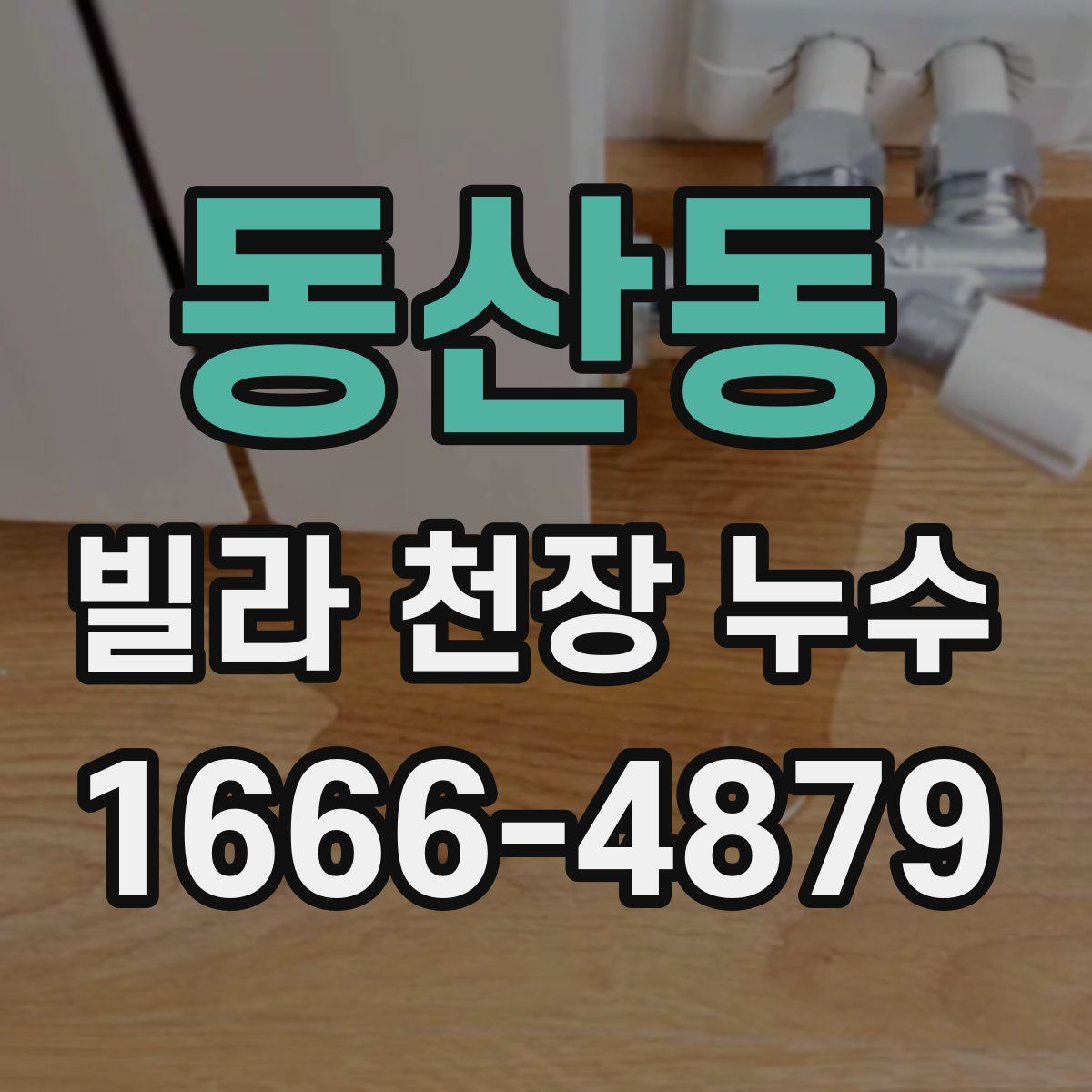 동산동 빌라 천장 누수