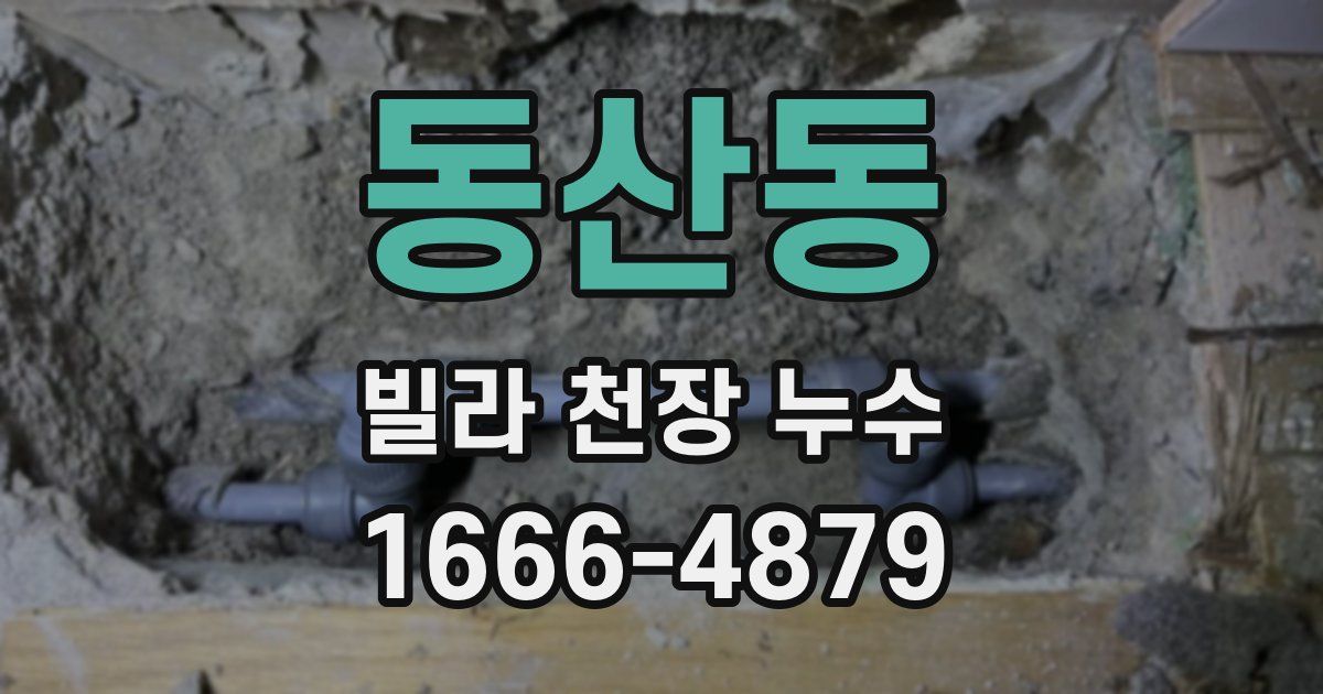 동산동 빌라 천장 누수