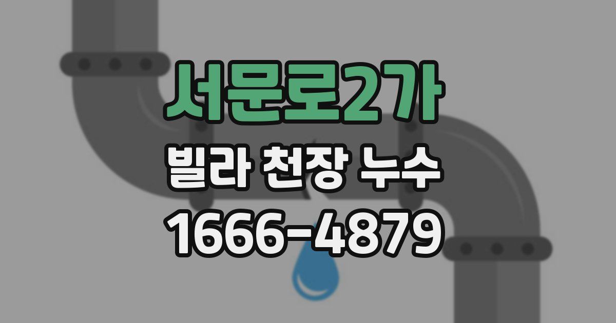 서문로2가 빌라 천장 누수