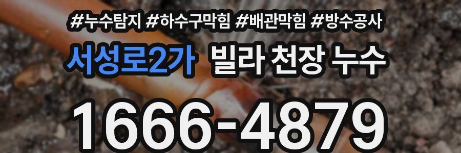 서성로2가 빌라 천장 누수