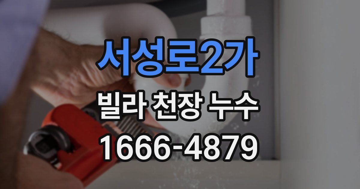 서성로2가 빌라 천장 누수