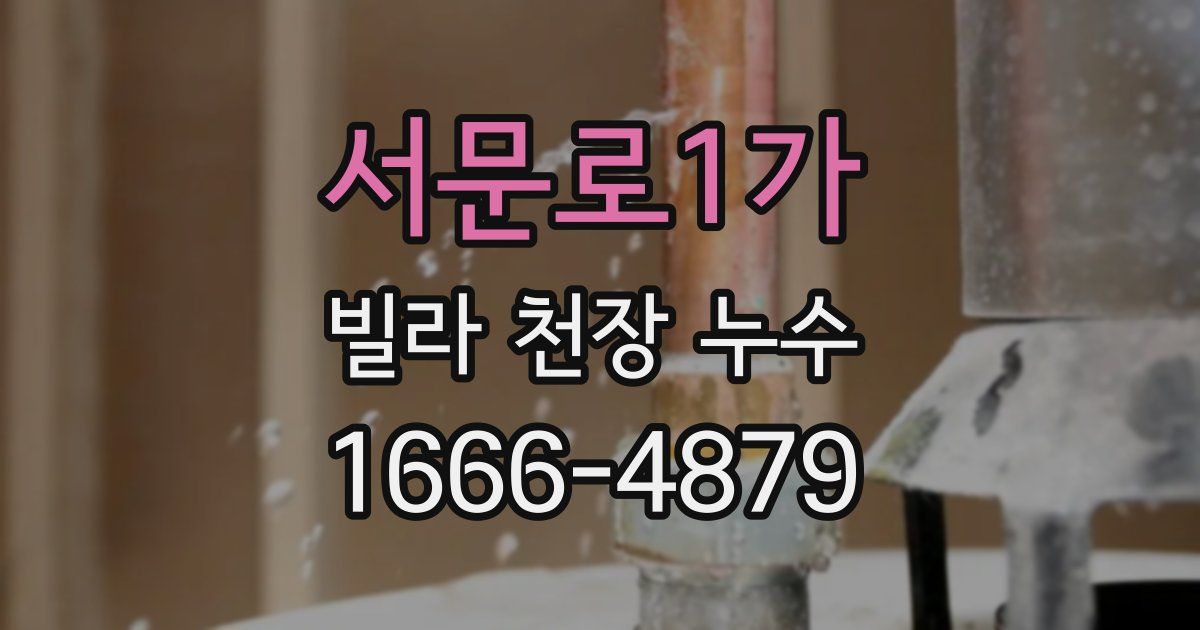 서문로1가 빌라 천장 누수