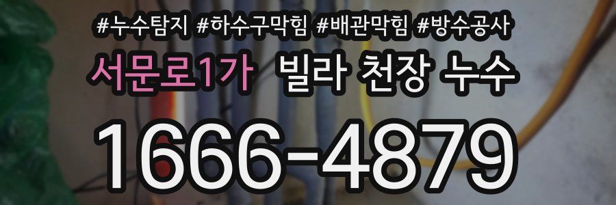 서문로1가 빌라 천장 누수