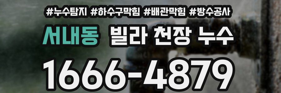 서내동 빌라 천장 누수
