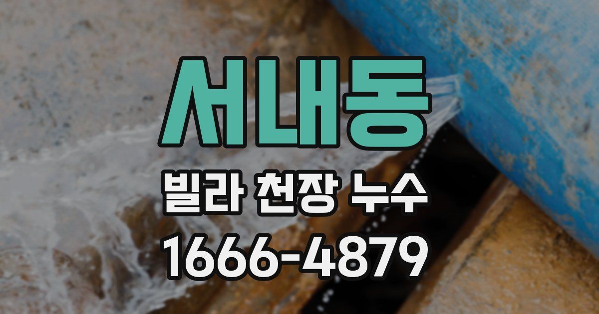 서내동 빌라 천장 누수