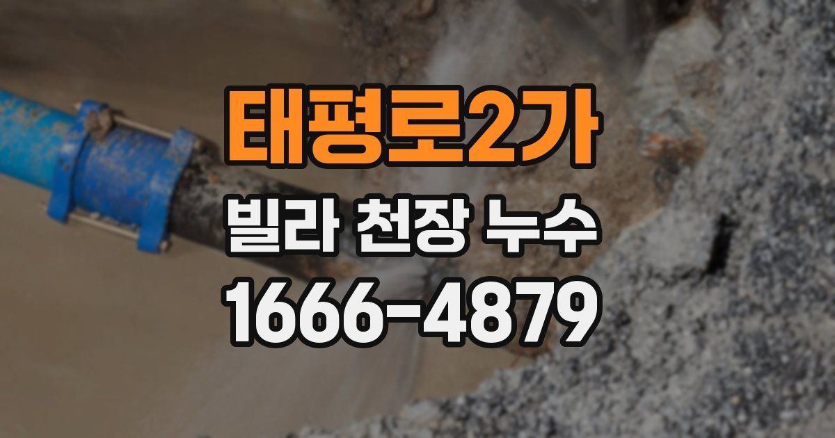 태평로2가 빌라 천장 누수