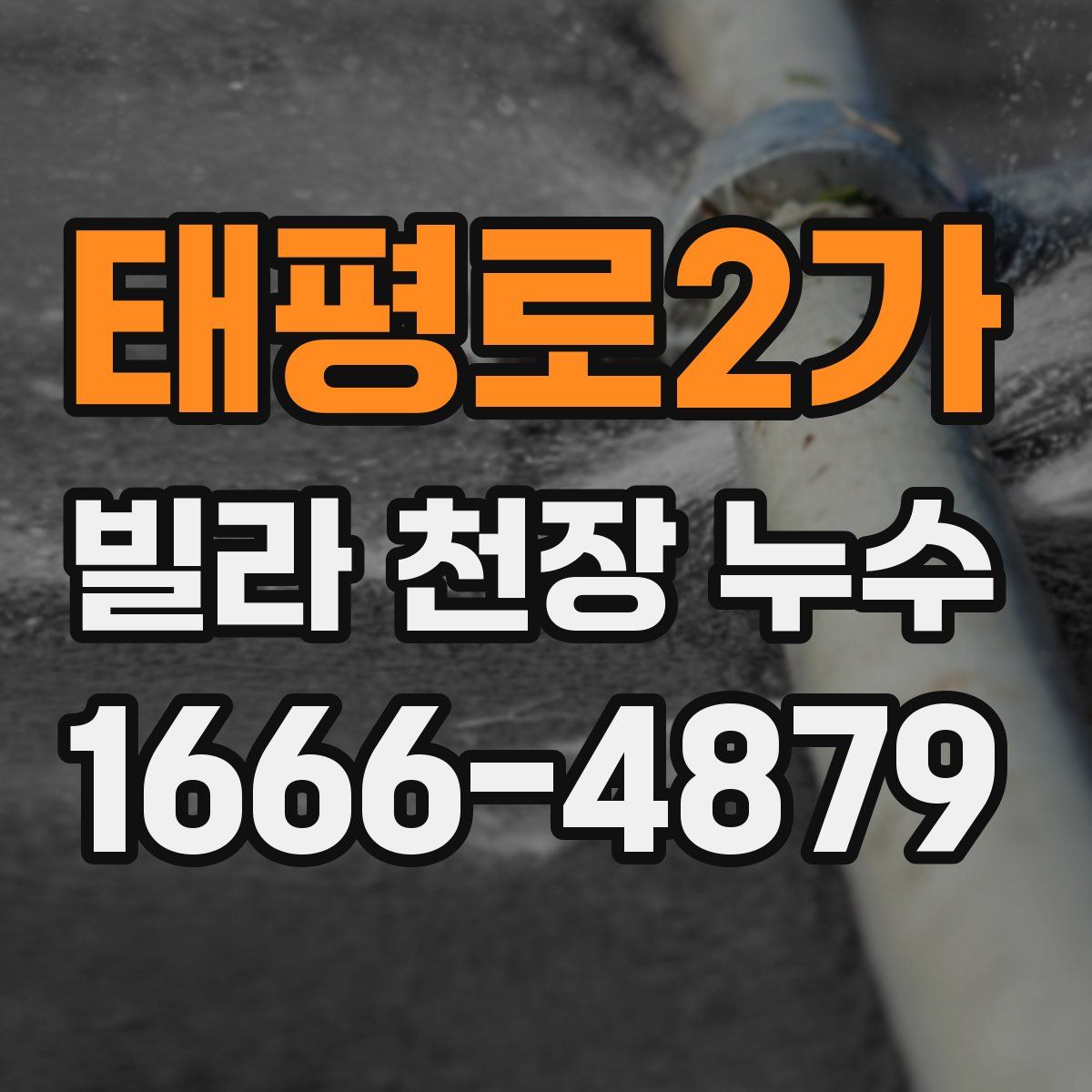 태평로2가 빌라 천장 누수