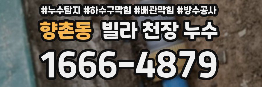 향촌동 빌라 천장 누수