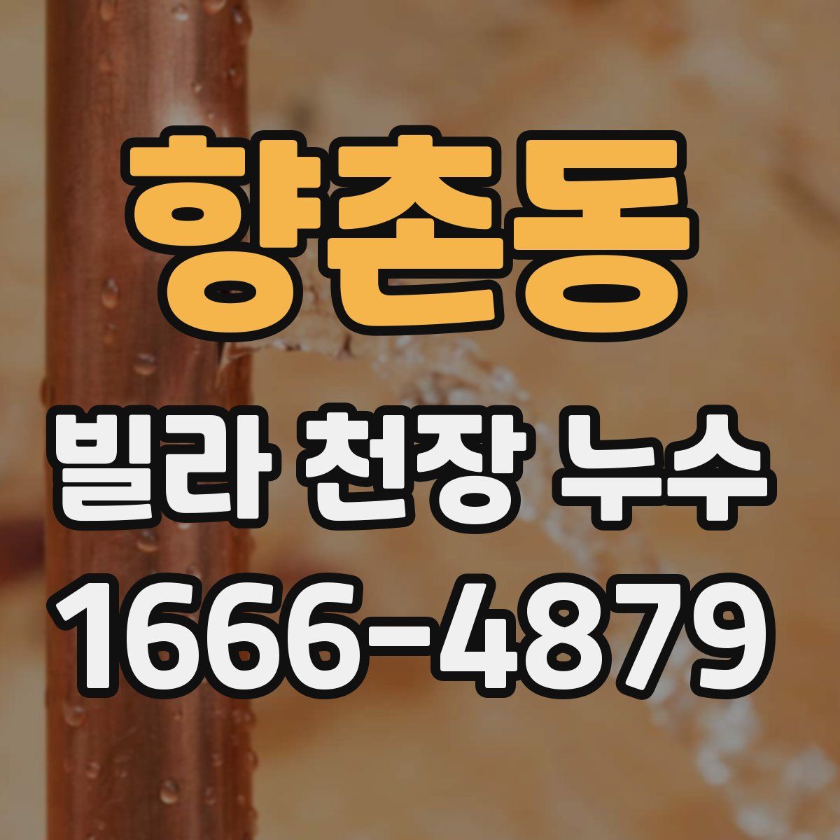 향촌동 빌라 천장 누수