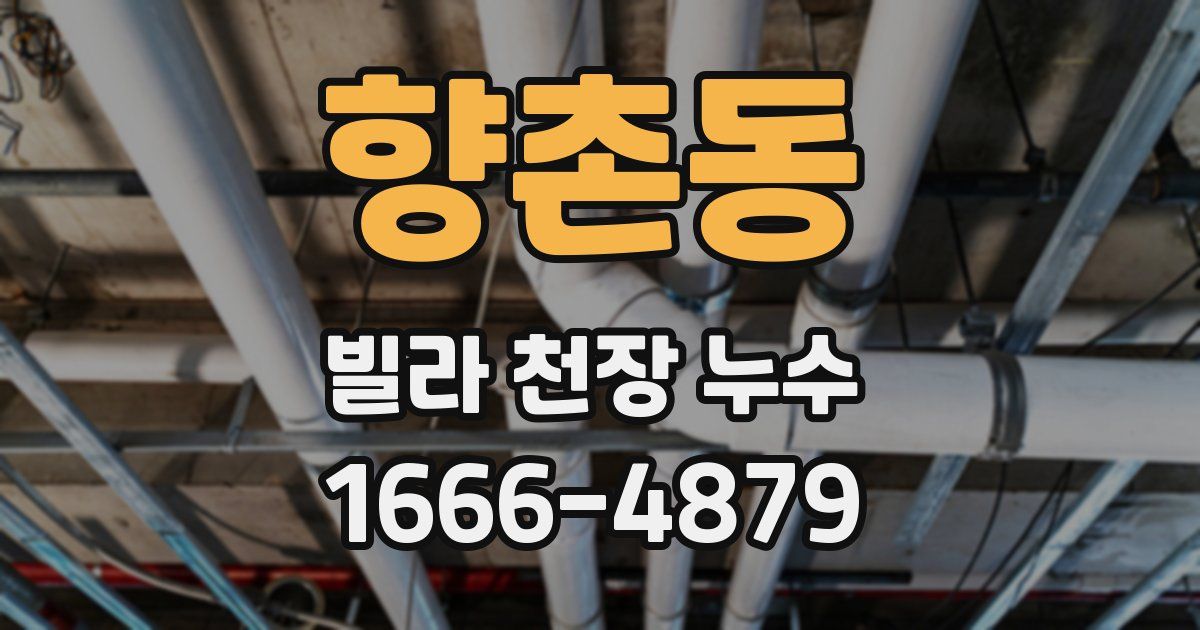 향촌동 빌라 천장 누수