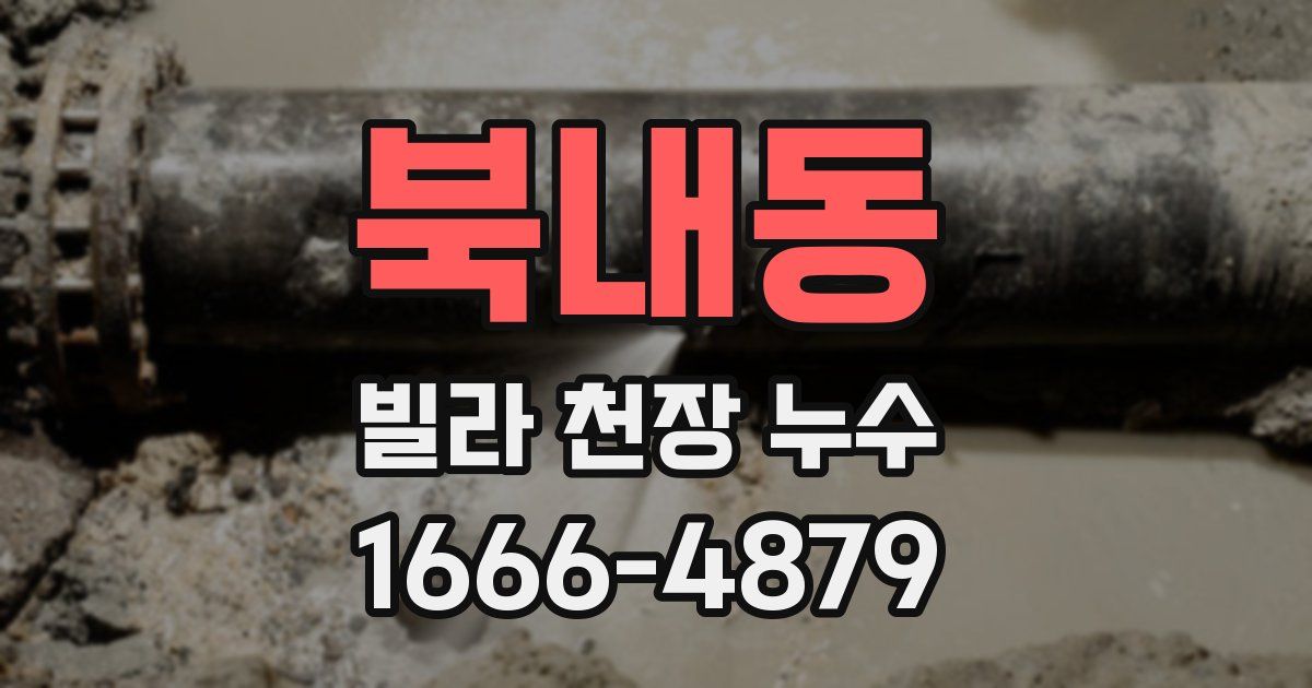 북내동 빌라 천장 누수
