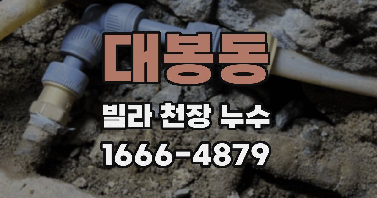 대봉동 빌라 천장 누수