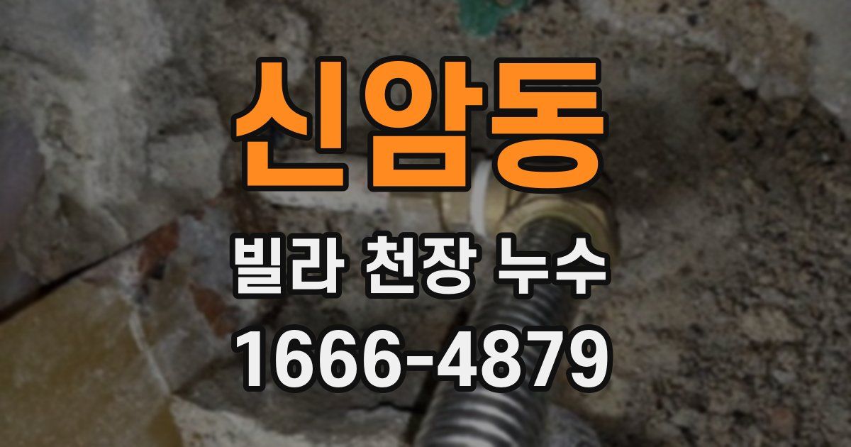 신암동 빌라 천장 누수