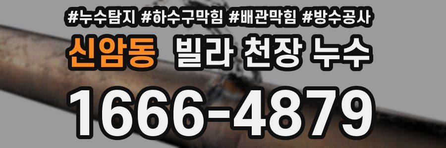 신암동 빌라 천장 누수