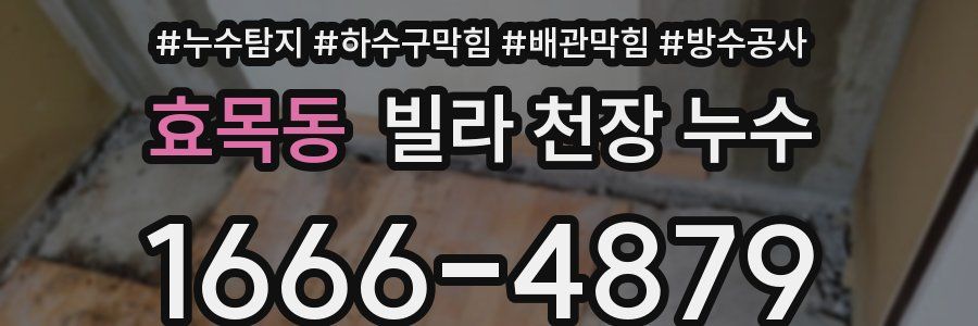 효목동 빌라 천장 누수