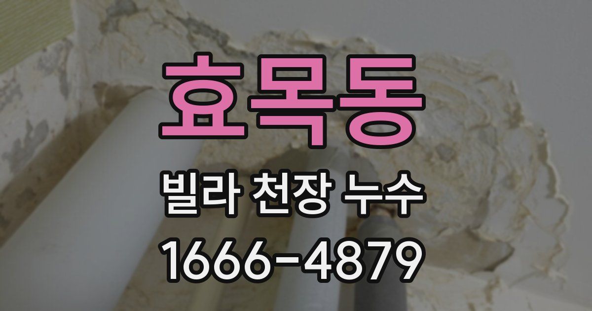 효목동 빌라 천장 누수