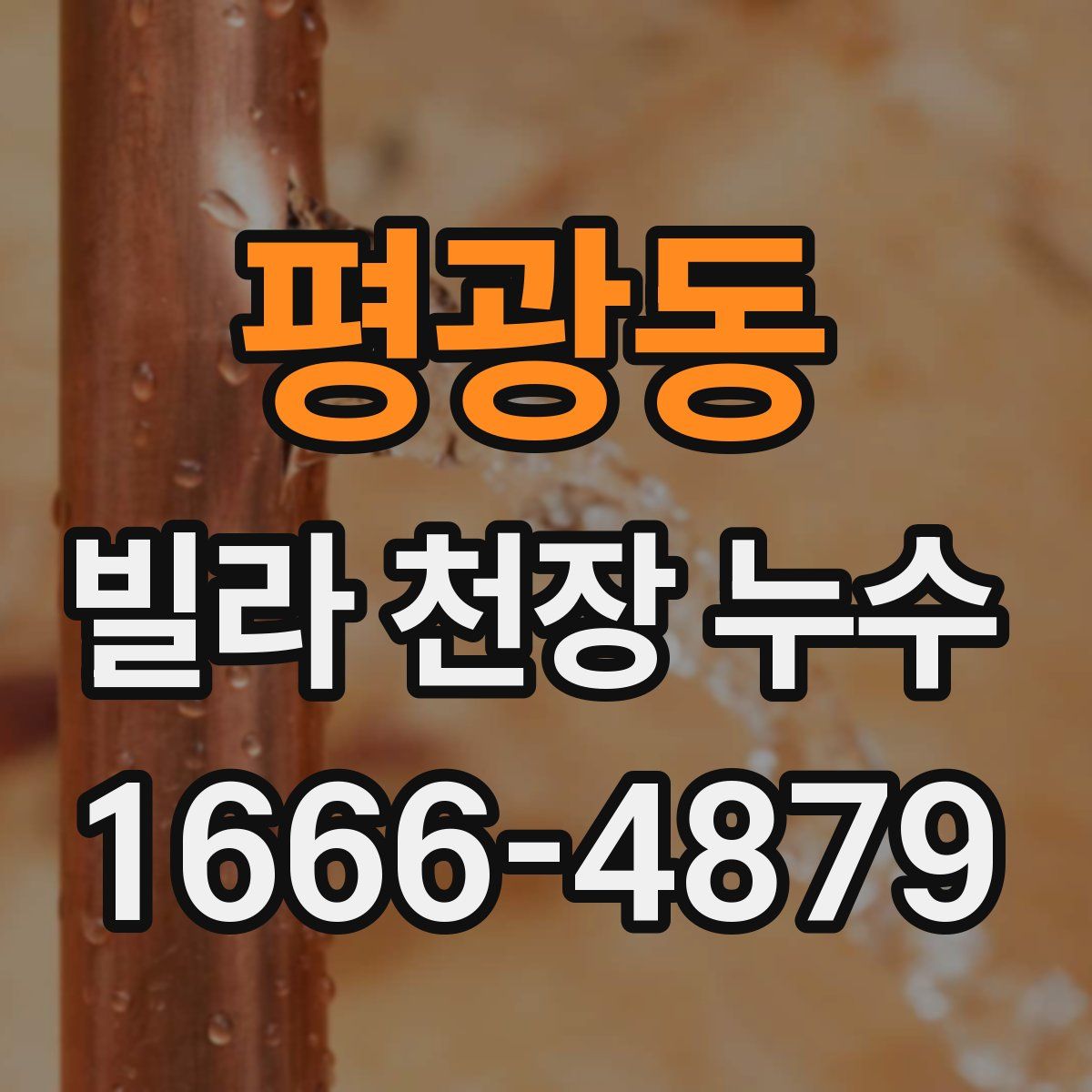 평광동 빌라 천장 누수
