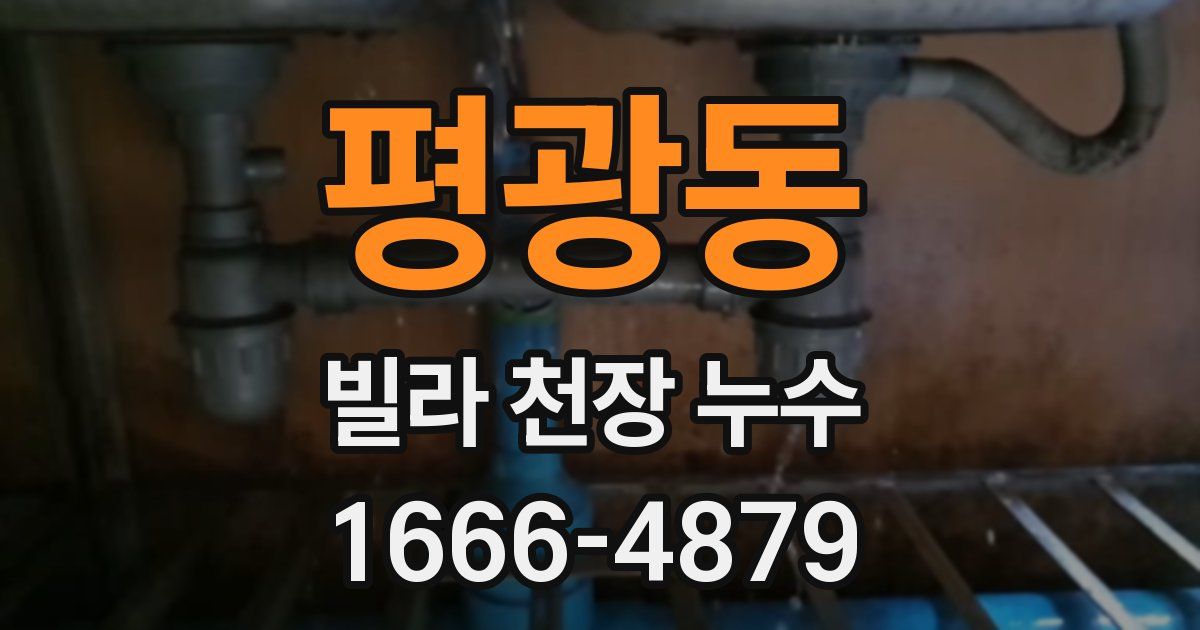 평광동 빌라 천장 누수