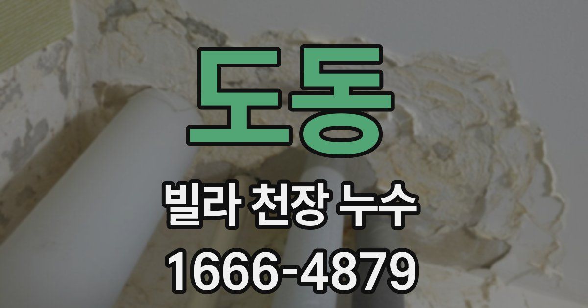도동 빌라 천장 누수
