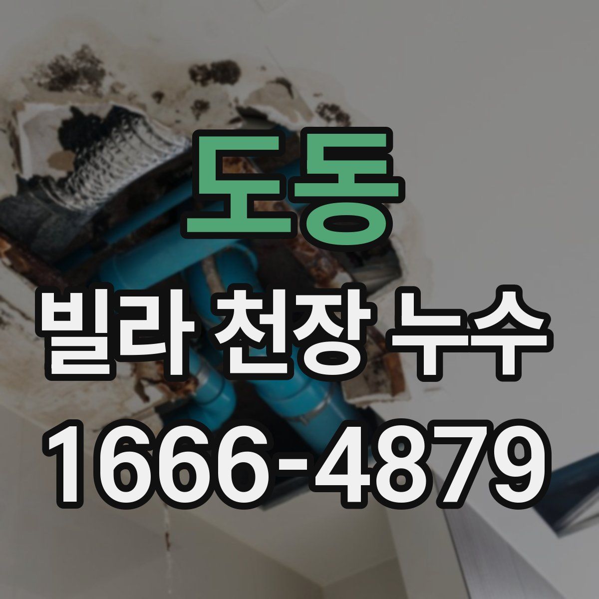 도동 빌라 천장 누수