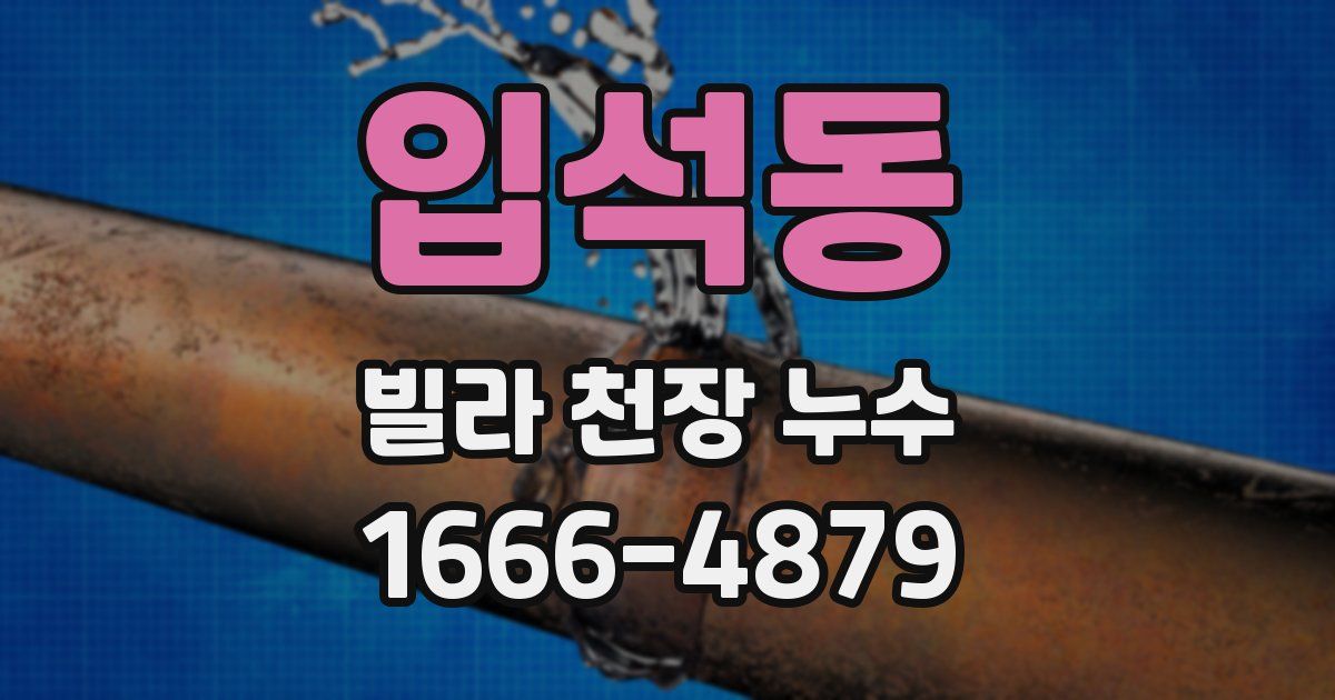 입석동 빌라 천장 누수
