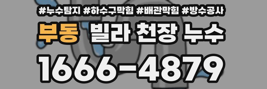 부동 빌라 천장 누수