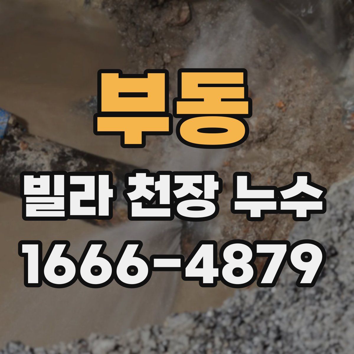 부동 빌라 천장 누수