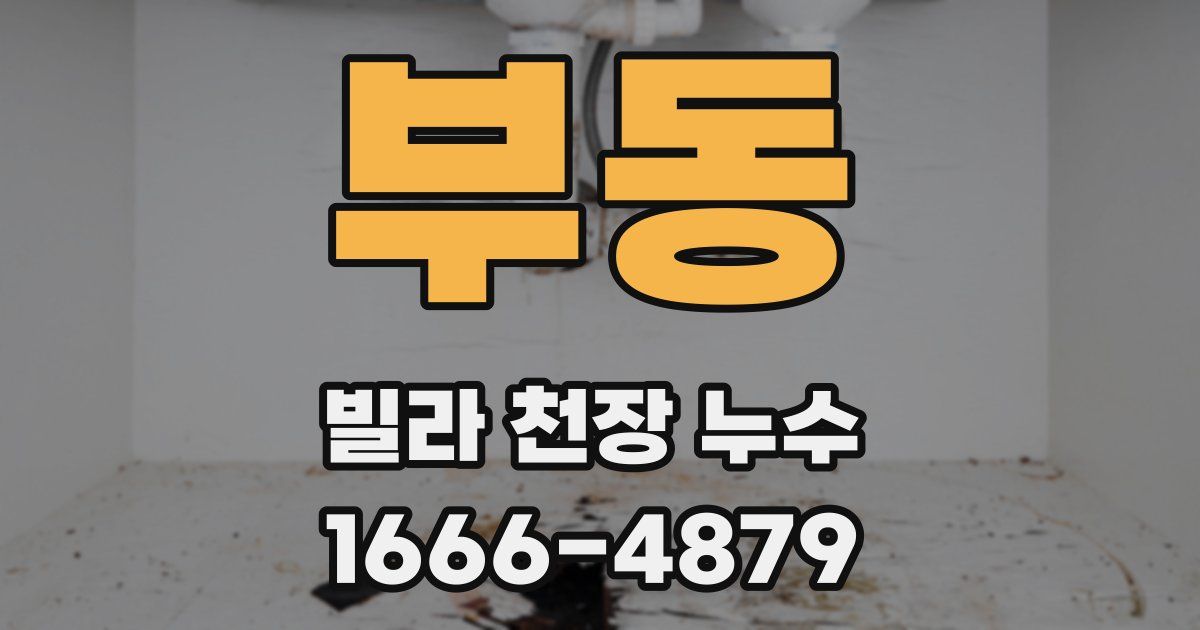 부동 빌라 천장 누수
