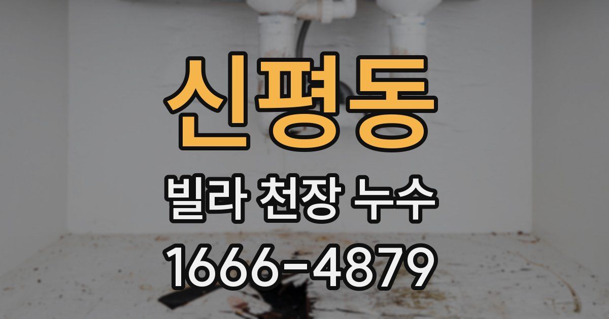 신평동 빌라 천장 누수