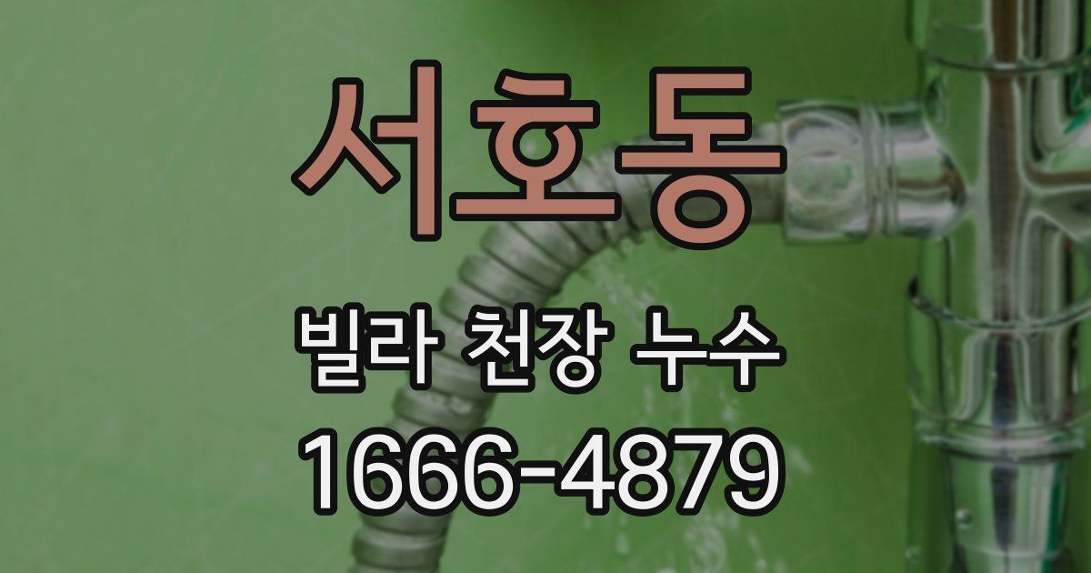 서호동 빌라 천장 누수