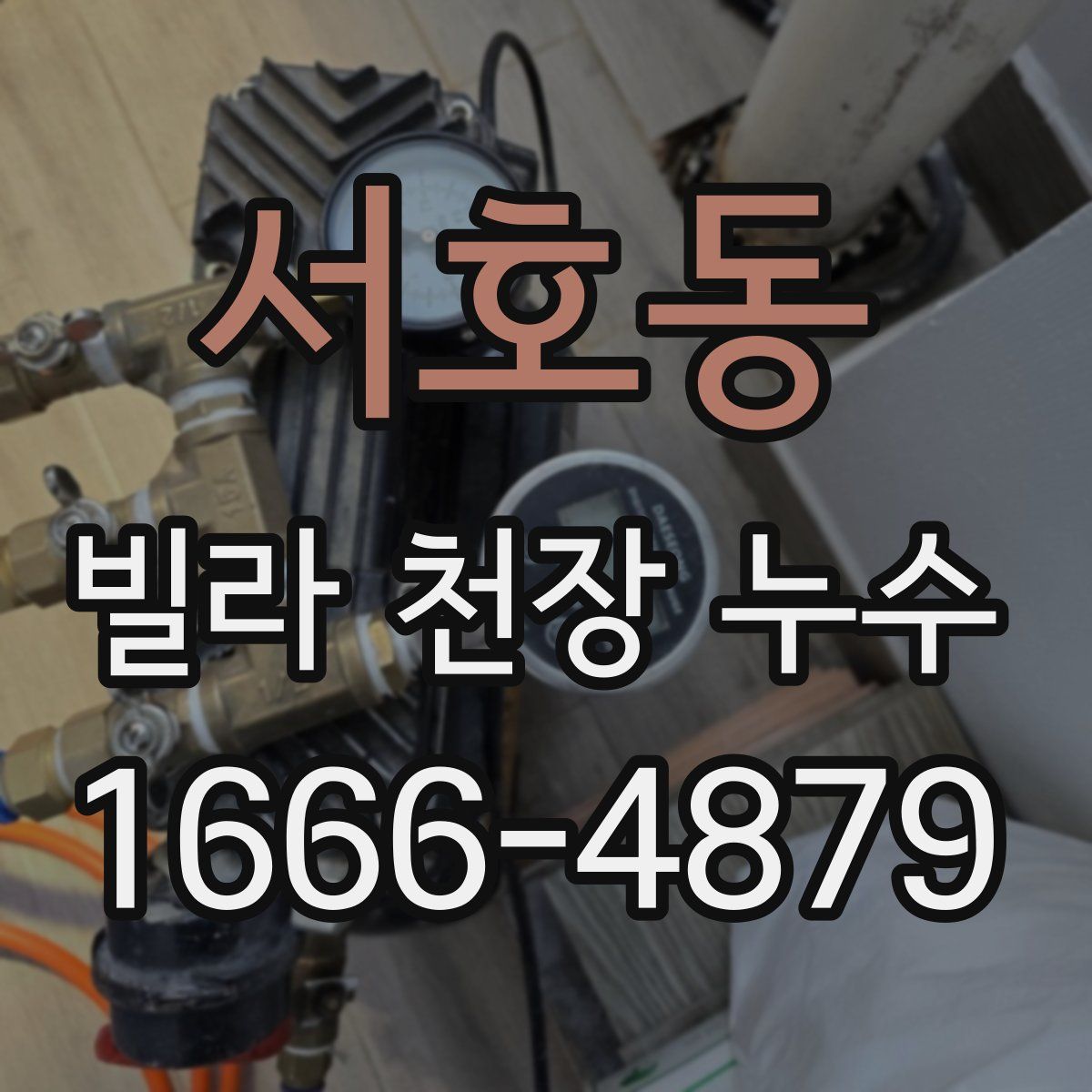 서호동 빌라 천장 누수