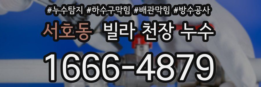 서호동 빌라 천장 누수
