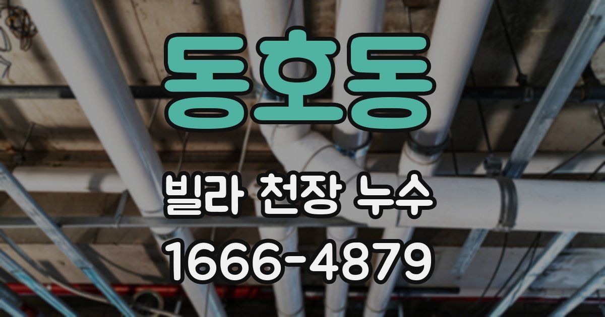 동호동 빌라 천장 누수