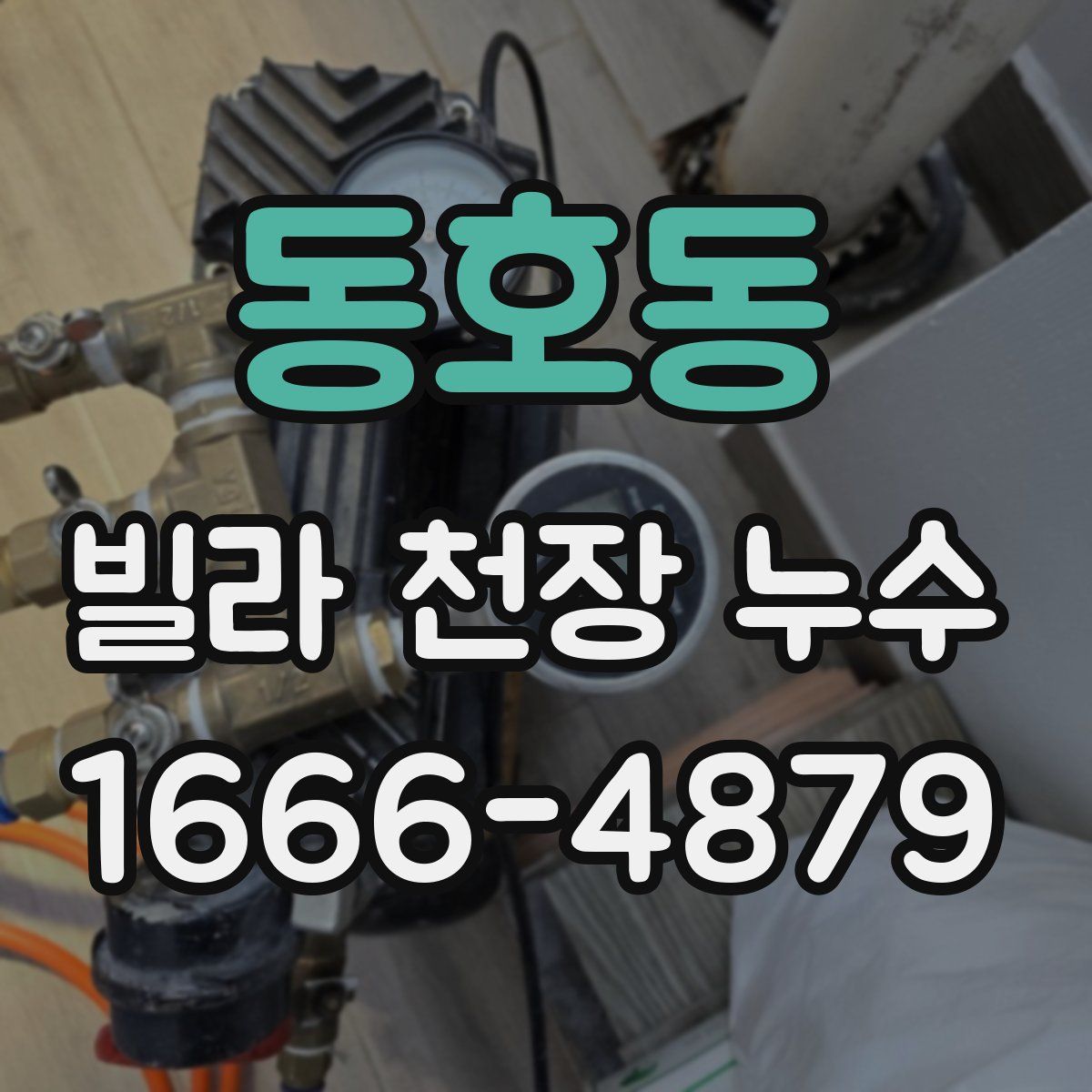 동호동 빌라 천장 누수