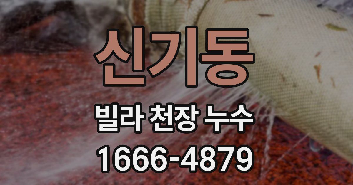 신기동 빌라 천장 누수