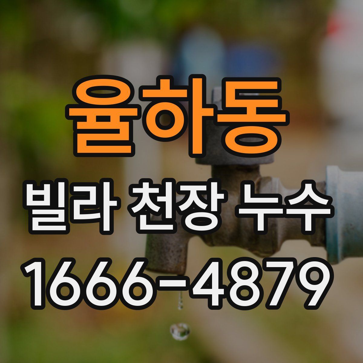 율하동 빌라 천장 누수