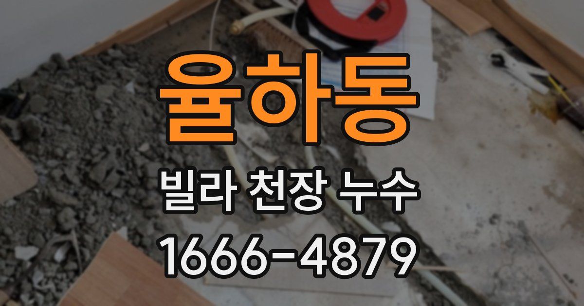 율하동 빌라 천장 누수