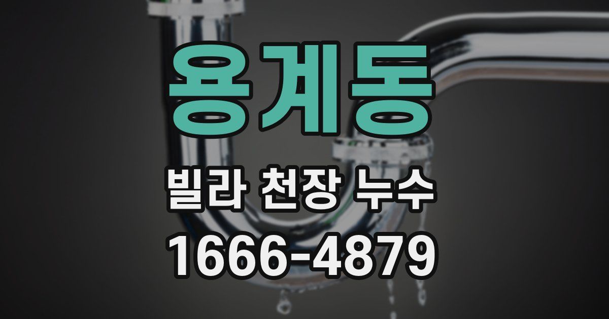 용계동 빌라 천장 누수