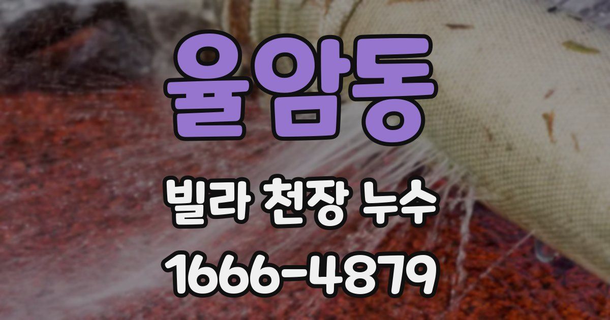 율암동 빌라 천장 누수