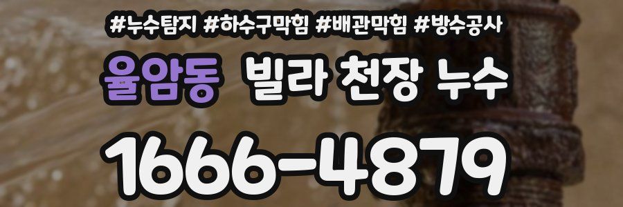 율암동 빌라 천장 누수