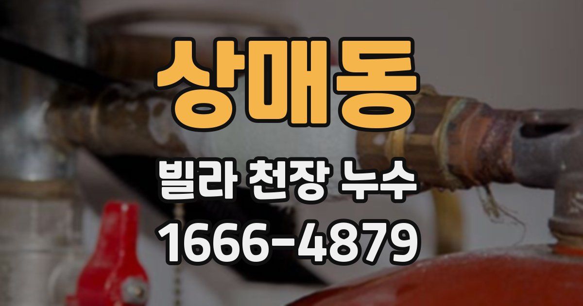 상매동 빌라 천장 누수