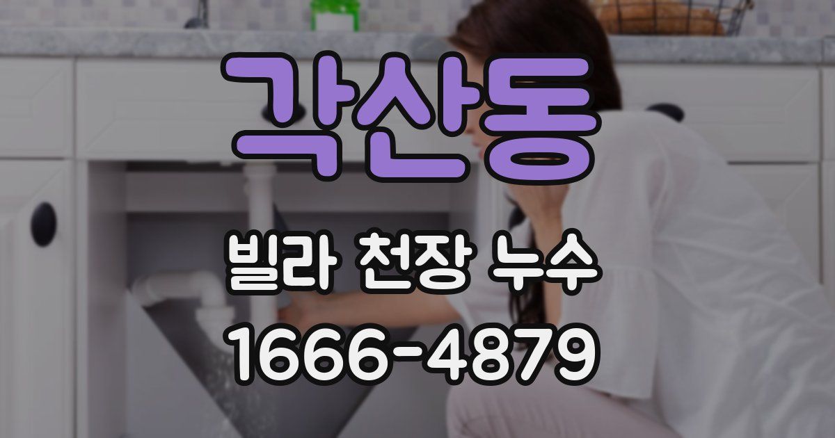 각산동 빌라 천장 누수