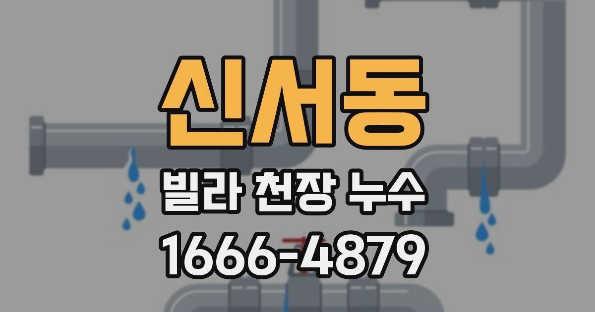 신서동 빌라 천장 누수
