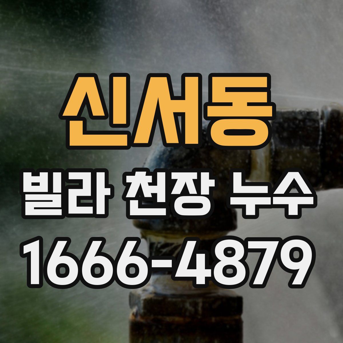 신서동 빌라 천장 누수
